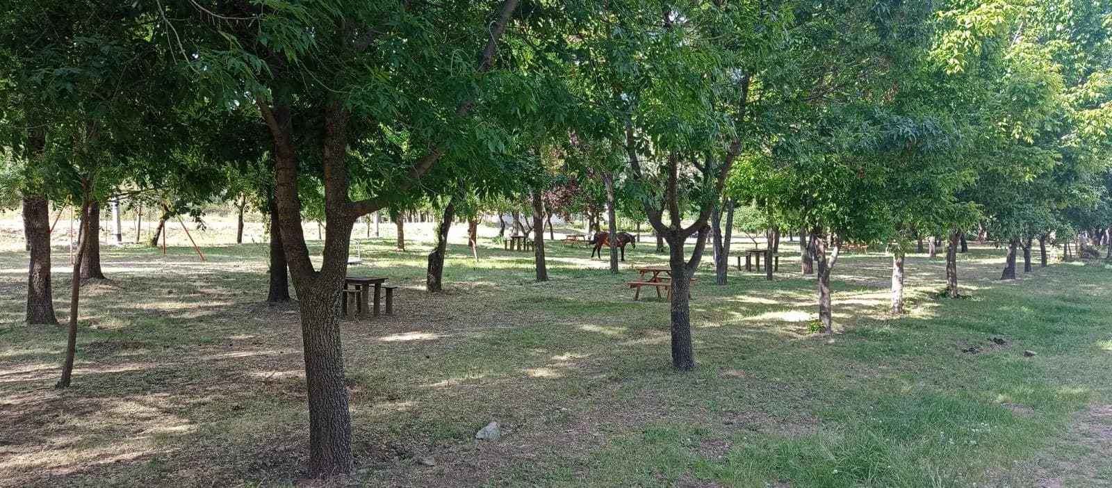 LOTES EN VENTA BARRIO ARROYO GRANDE-LOS CHACAYES - 1