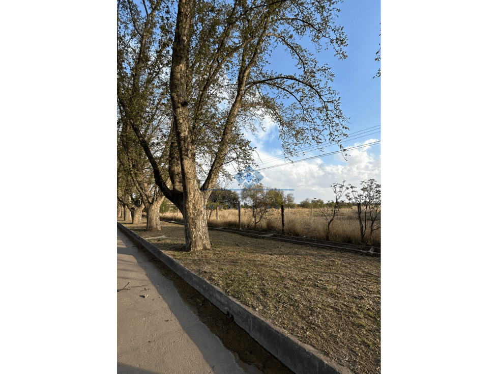 TERRENOS EN VENTA SOBRE AV. SAN MARTIN - COLONIA CAROYA - 1