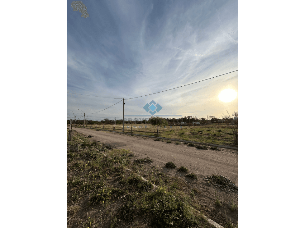 VENTA-LOTE EN LOS ALGARROBOS-SINSACATE - 1