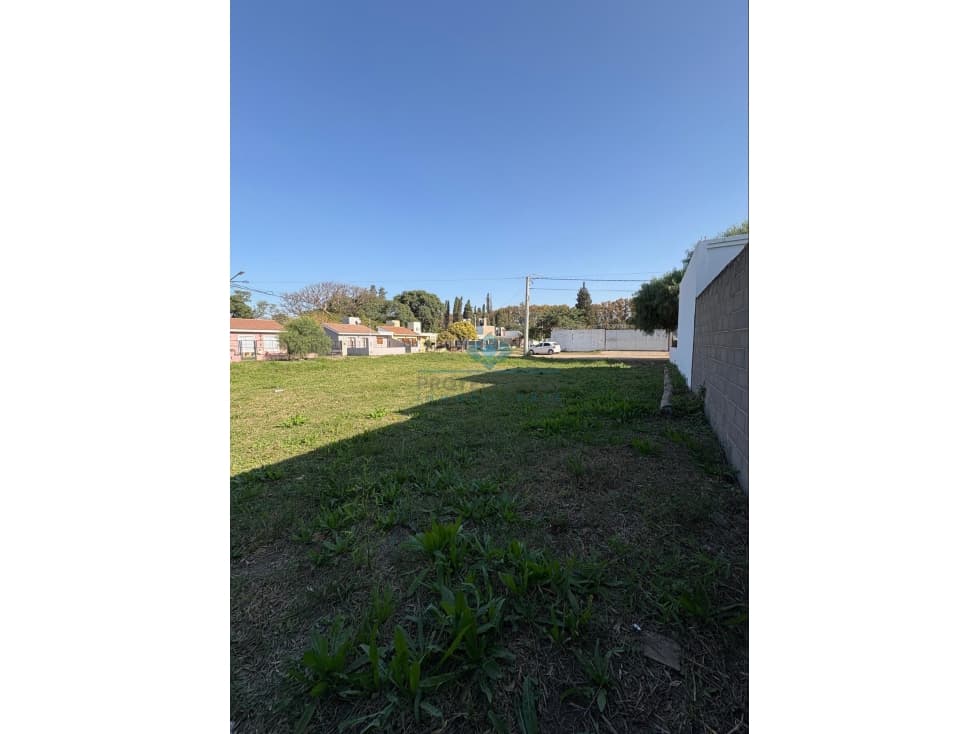 VENTA-LOTE ESQUINA 325 M²- CALLE 11, COLONIA CAROYA - 1