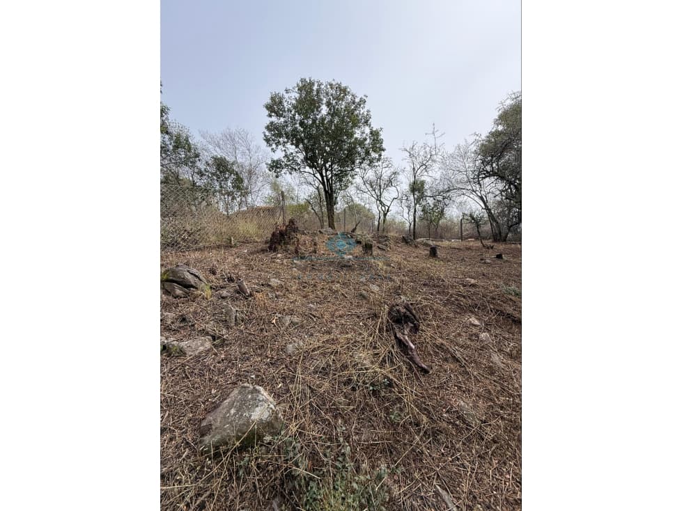 LOTE 560 M2 - VILLA ANIMI - LA GRANJA - 1