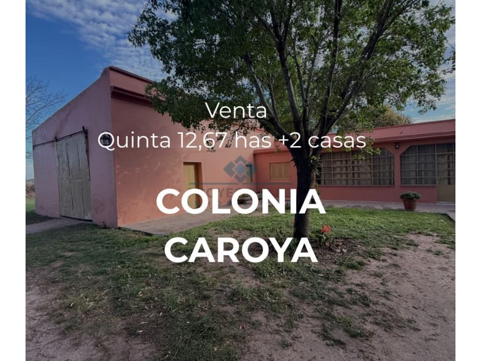 VENTA 2 CASAS QUINTA- 12,67 HECTÁREAS COLONIA CAROYA - 1