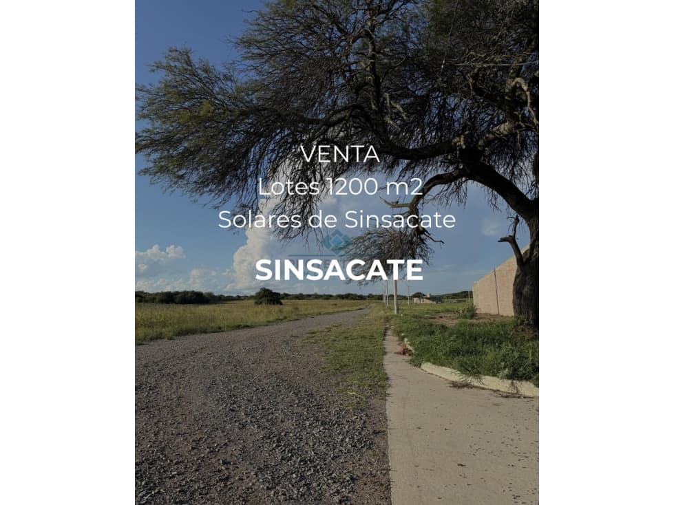 VENTA LOTES EN SOLARES DEL CAMINO REAL - SINSACATE - 1