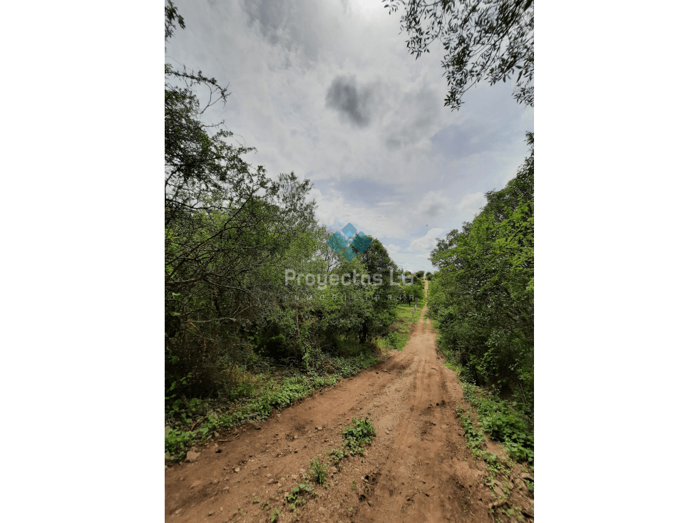 VENTA- LOTES DE 280 M2 Y 560 M2, VILLA ANIMI, LA GRANJA - 1