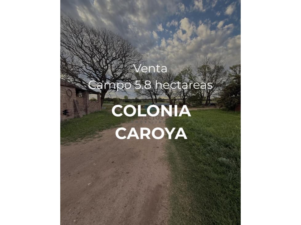 VENTA CAMPO / LOTE DE 5.83 HECTÁREAS COLONIA CAROYA - 1