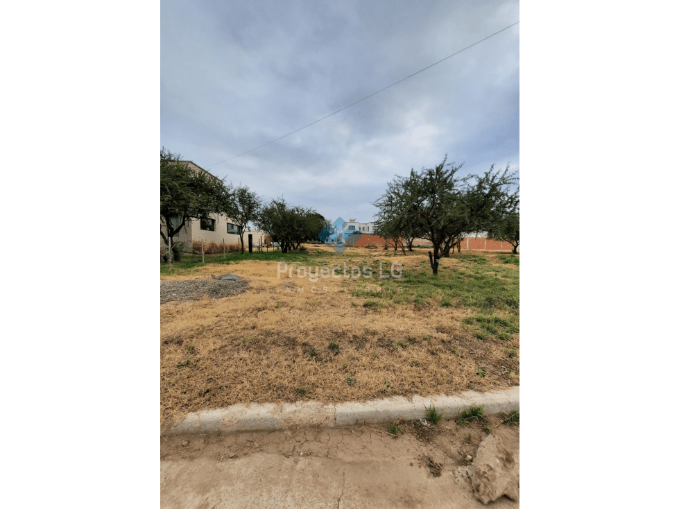VENTA-LOTES 455m2-SINSACATE-CON ESCRITURA - 1