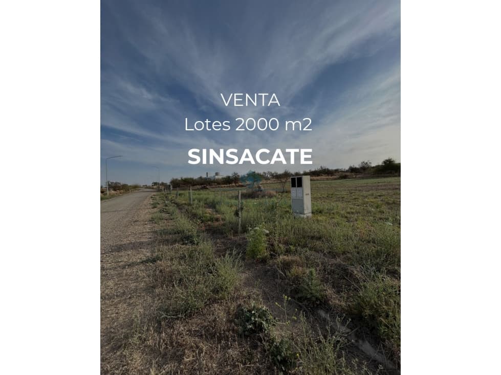 OPORTUNIDAD LOTE 2000 M2 | SINSACATE - 1