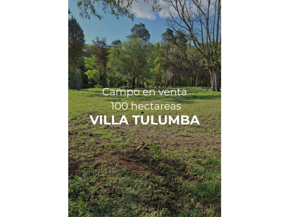 VENTA- CAMPO LA BUENAVENTURA 100 HAS- VILLA TULUMBA - 1