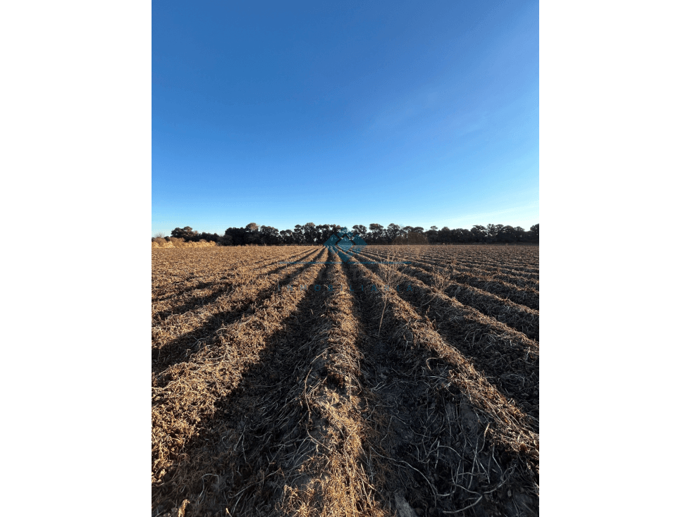 VENTA - 12.5 HECTÁREAS - COLONIA CAROYA - 1