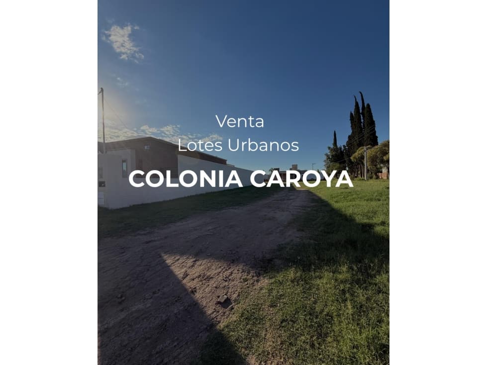 VENTA- 5 TERRENOS-COLONIA CAROYA - 1