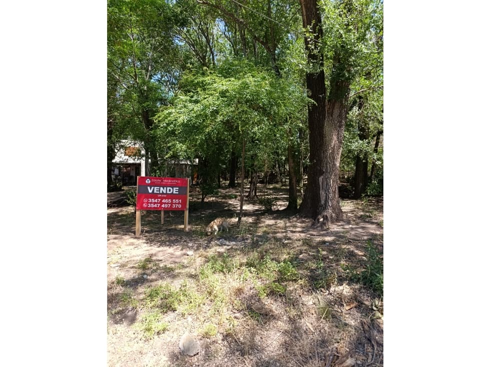 LOTE EN VENTA A METROS DEL BALNEARIO - 1