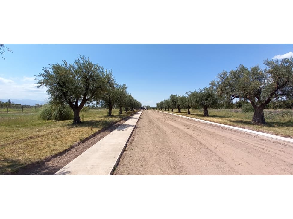 Lote Esquina en Monteolivo Barrio Privado - 1
