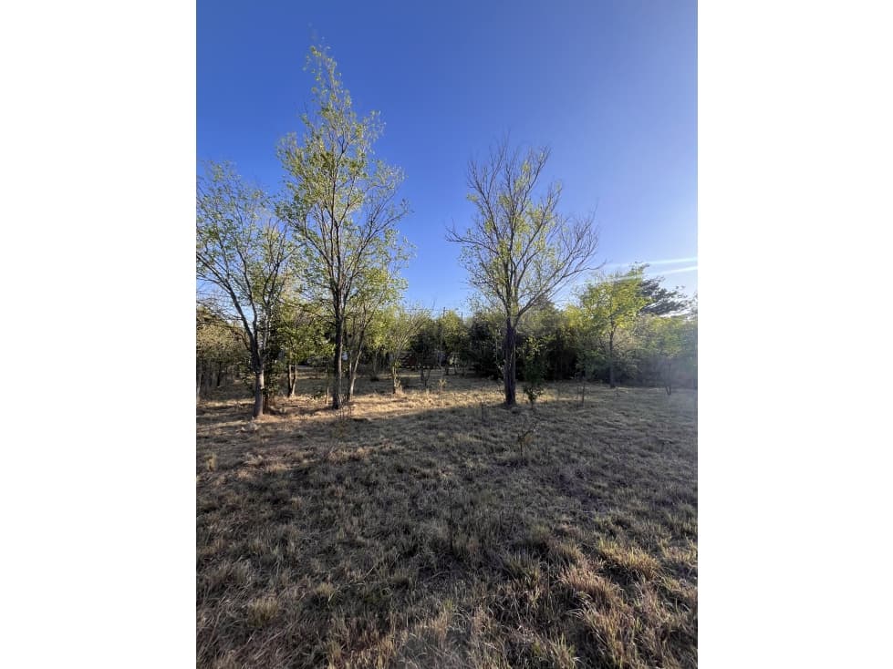 Dos lotes estratégicos en San Esteban Servicios y escritura - 1