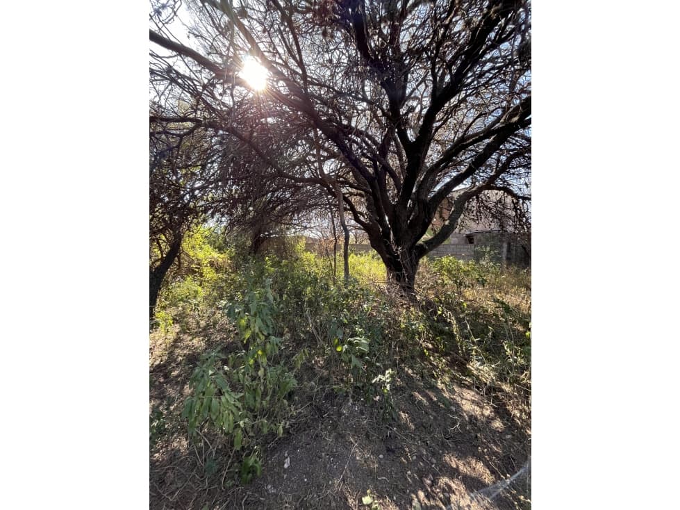 Lote en venta en Capilla del Monte Esquina Alazanes y López y Planes - 1