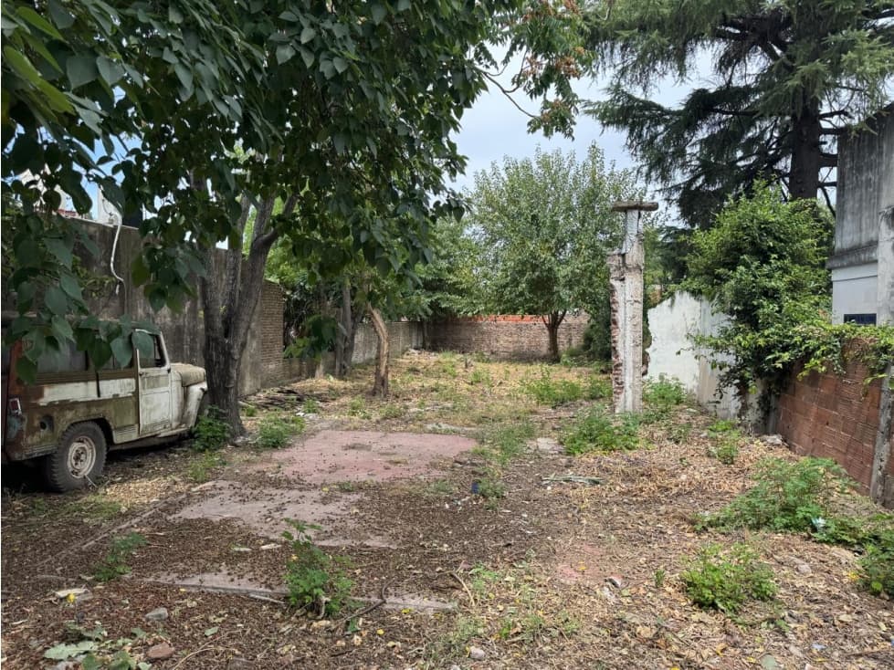 AMPLIO LOTE DE TERRENO - 1