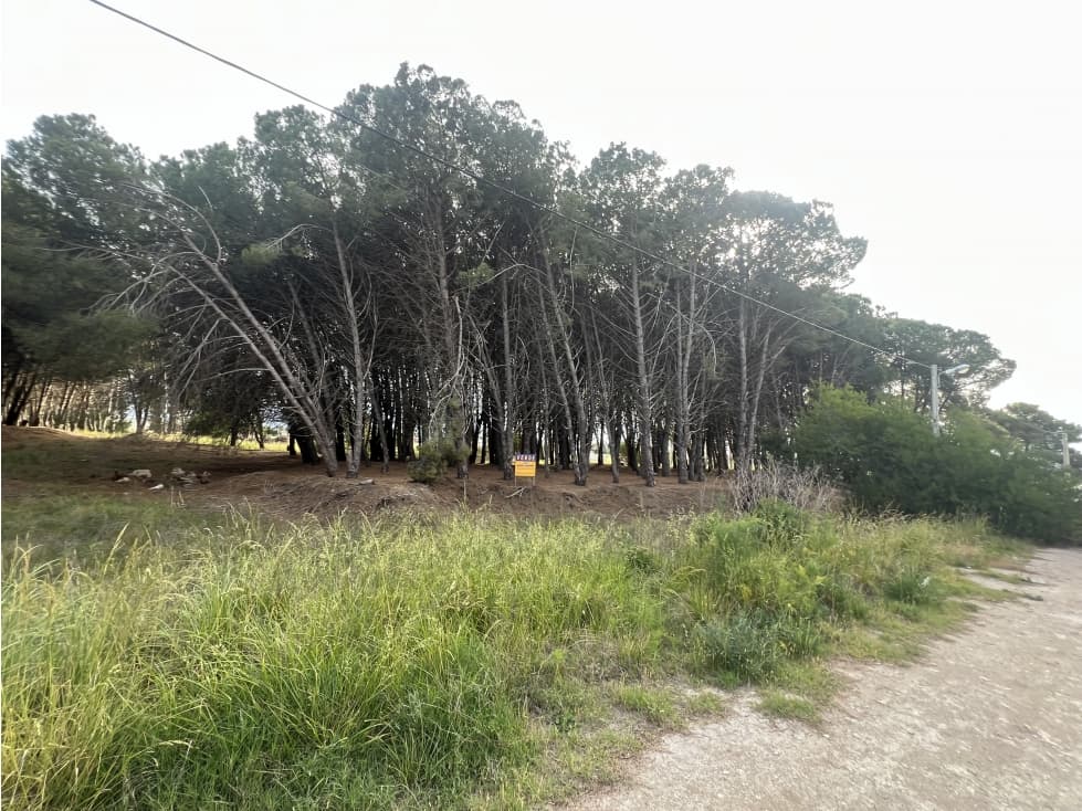 CLAROMECO - ZONA GOLF Lote de 20 x 40 mts... - 1