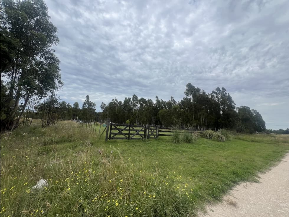 Claromeco - Zona GOLF 20 x 40 mts - Con proyecto! - 1