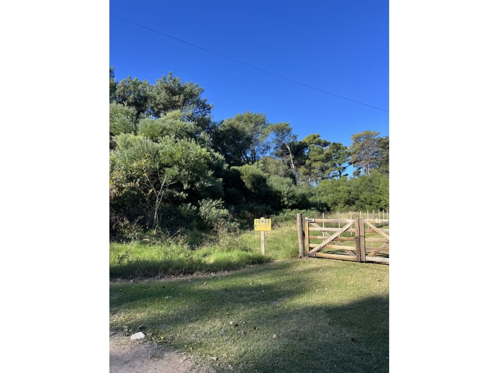 Dunamar - Lotazo 12,50 x 50 mts - 1