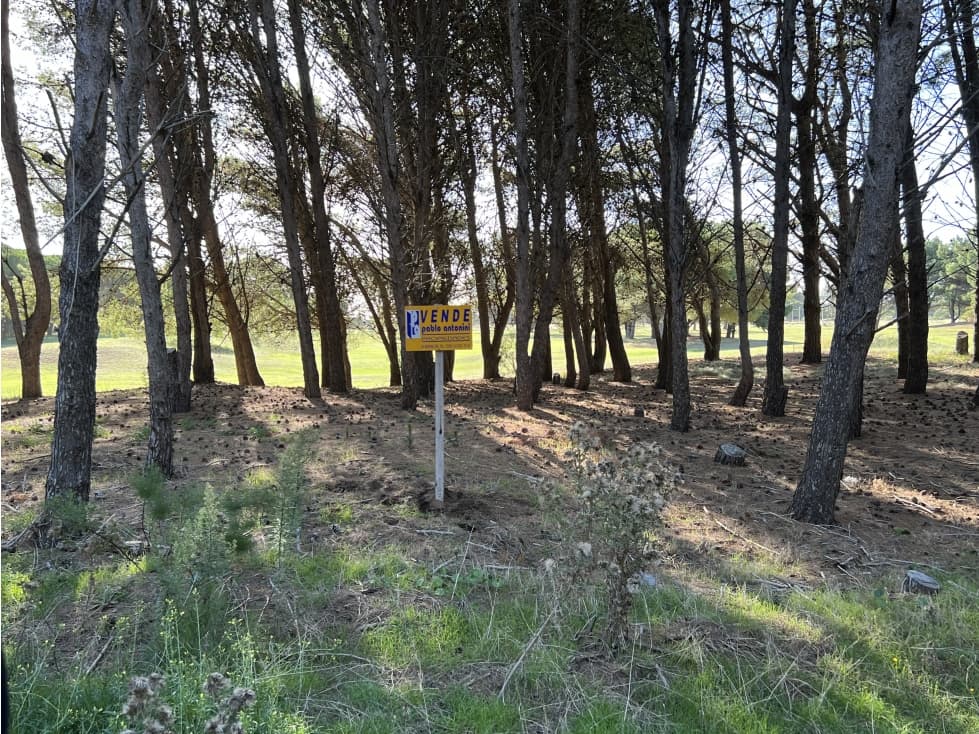 CLAROMECO GOLF (Dentro del predio) - 1