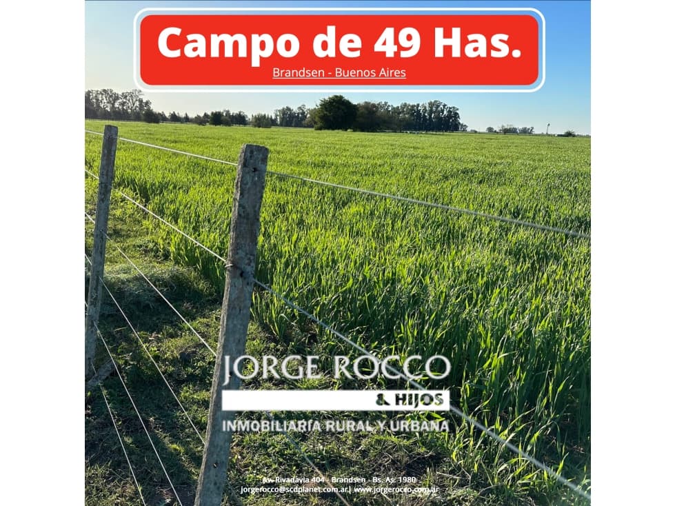 Campo en venta en Brandsen. 49 Has mixto - 1