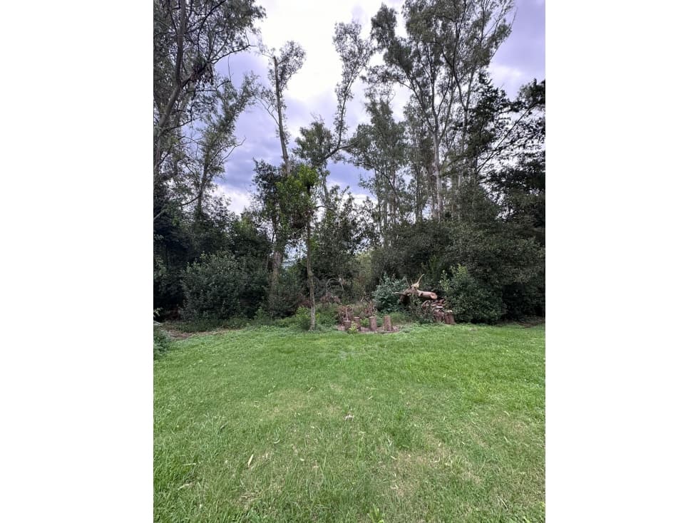 Lote en venta en Barrio Bosquecitos en Brandsen - 1