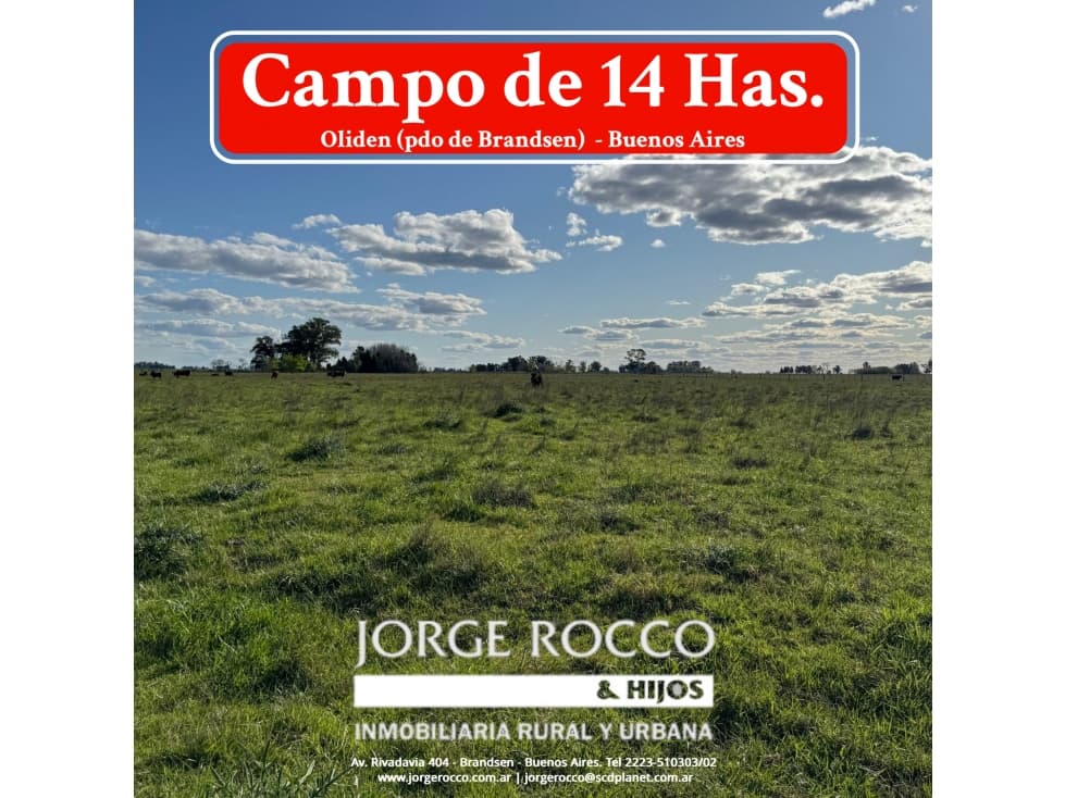 Campo en venta en Oliden (pdo. de Brandsen). 14 Has. - 1