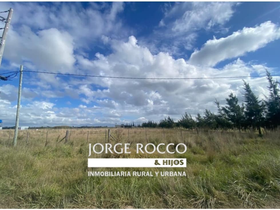 Lote de terreno en venta en Gomez - Brandsen - 1