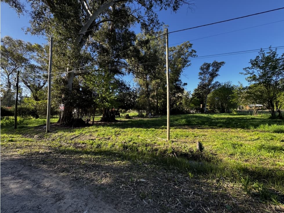 EXCELENTE LOTE EN BARRIO LA PLANTACION - 1