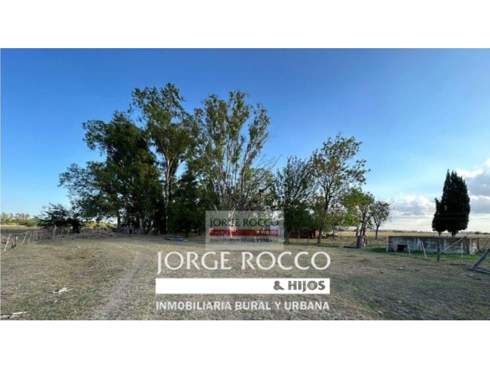 Campo en venta en Gomez, Brandsen. 17 Has ganadero - 1