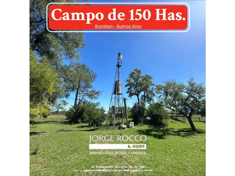 Campo en venta en Brandsen. 150 Has mixto - 1