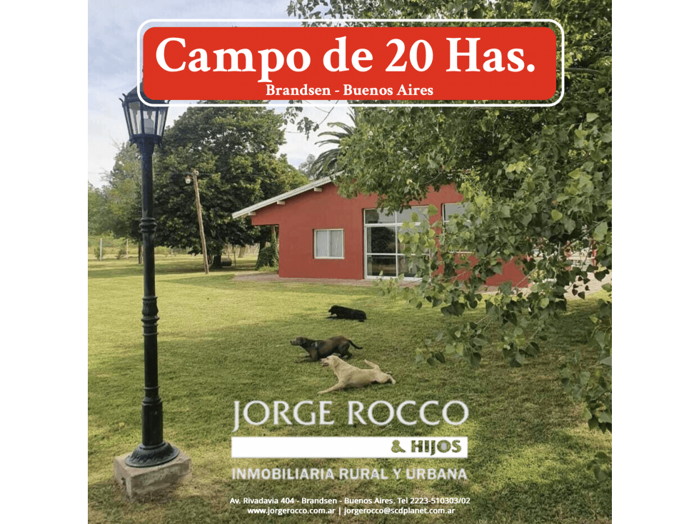 Campo en venta en Brandsen. 20 Has. - 1