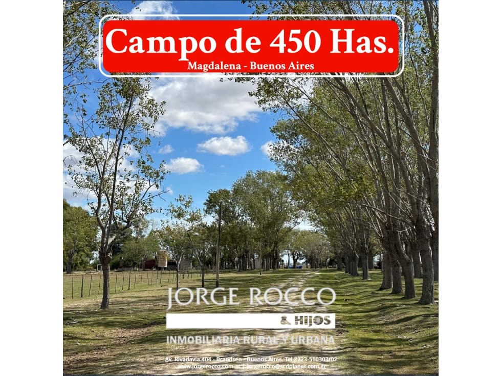 Campo en venta en Magdalena. 450 Has mixto - 1