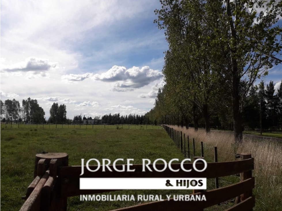 Chacra en Barrio de Chacras Estancia Malvinas en Brandsen - 1