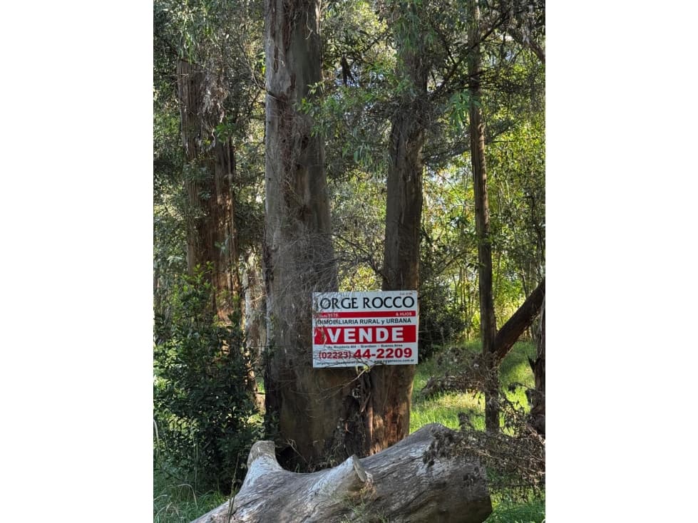 Lote en venta en Barrio "Los Bosquecitos" en Brandsen - 1