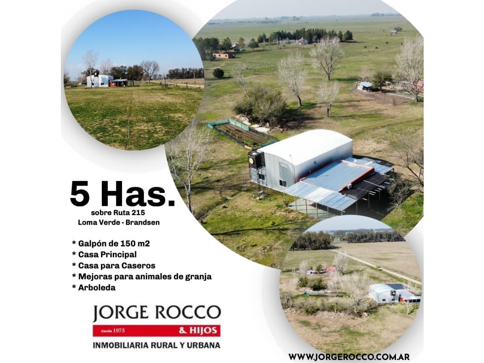 Campo en venta en Brandsen. 5 Has sobre ruta 215 - 1