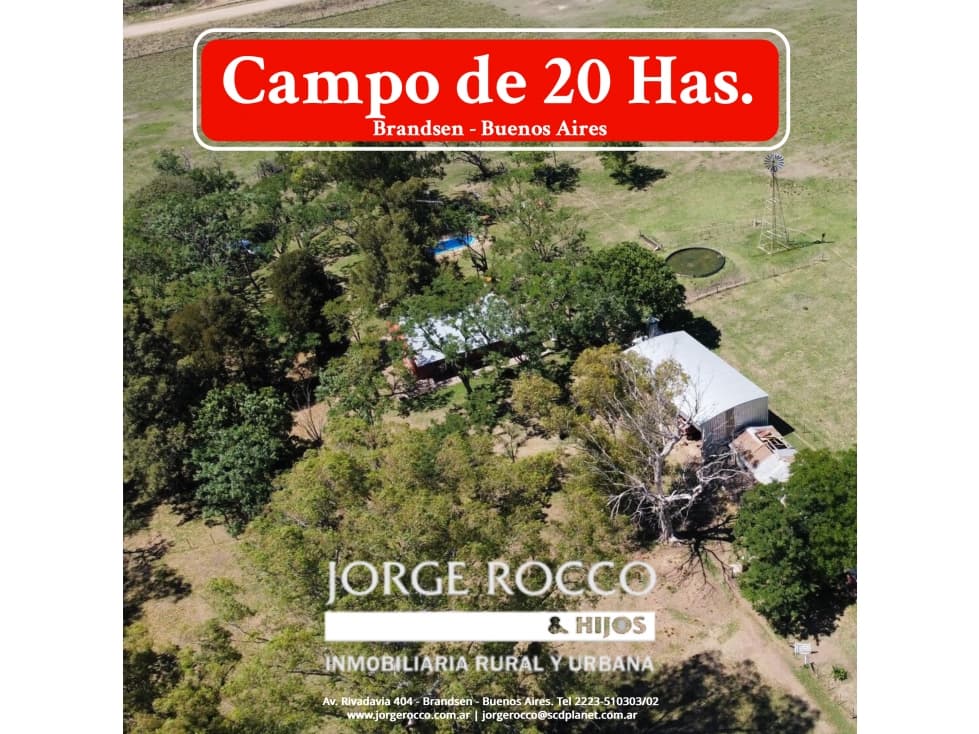 Campo en venta en Brandsen. 20 Has mixto - 1