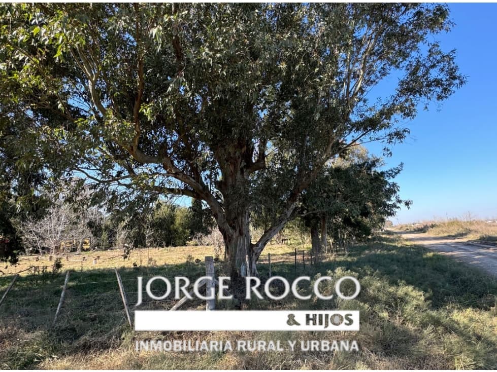 Lote en venta en Barrio La Parada - Brandsen - 1