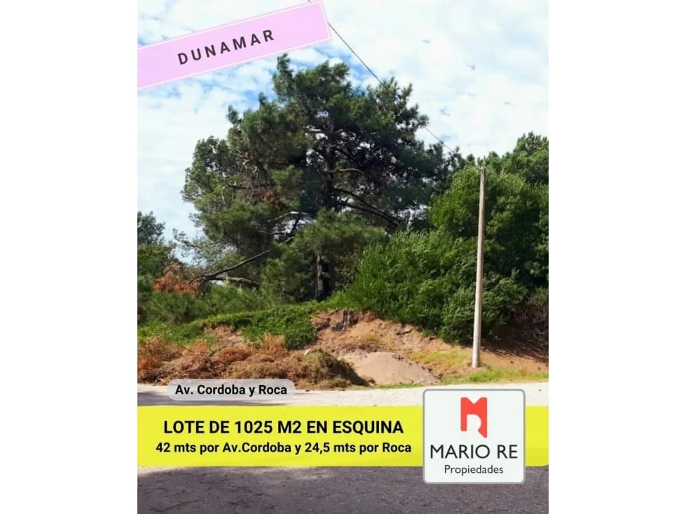 #DUNAMAR  - Terreno de 1025 M2 - Esquina Avda. Córdoba y Roca - 1