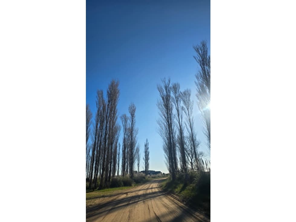 Lote en venta en EL SALVAJE - CHACRAS MARITIMAS - 1