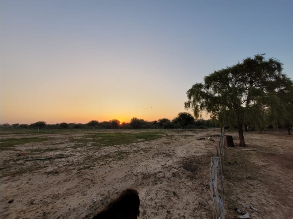 CAMPO EN VENTA EN SANTIAGO DEL ESTERO 426 HA TRES LAGUNAS - 1
