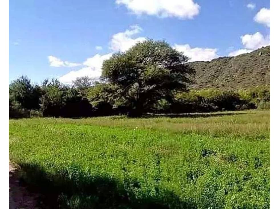 VENTA 78 HECTAREAS SAN LUIS AGRICULTURA ECOLOGICA TURISMO ORGANICO - 1