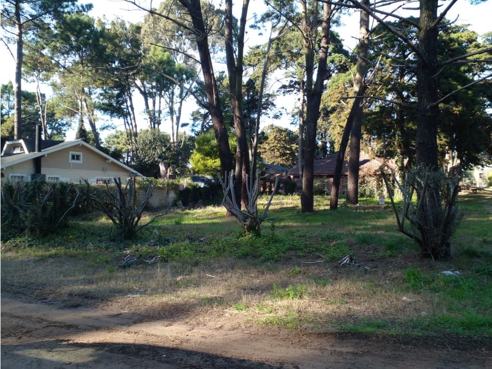 Lote Rosales y Cabral - 1