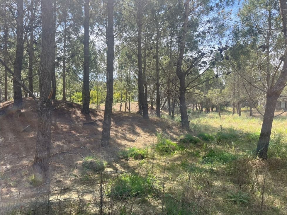 Lote en Venta COSTA ESMERALDA Marítimo III 59 - 1