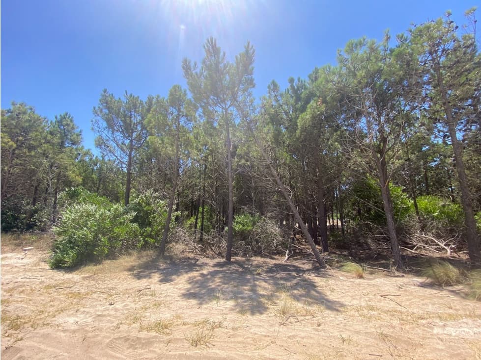 LOTE EN VENTA - MARITIMO IV 6 - COSTA ESMERALDA - 1