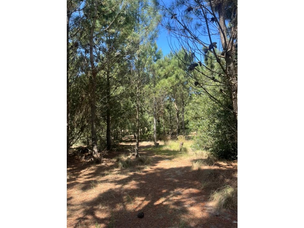 LOTE EN VENTA - GOLF II 544 - COSTA ESMERALDA - 1