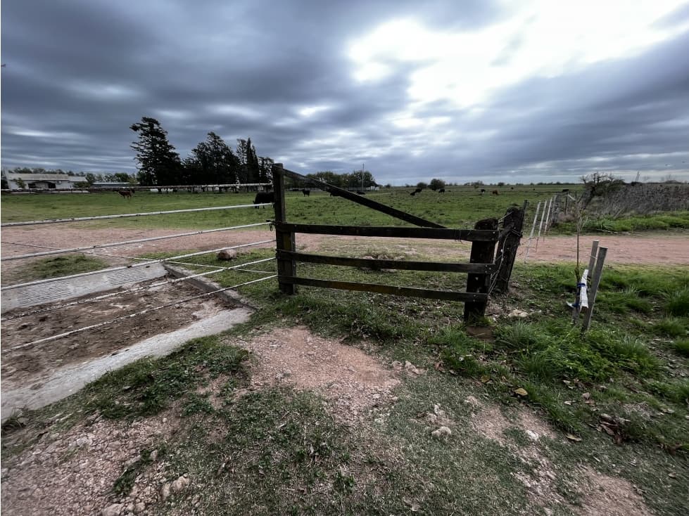 Vendo Campo 76 Hectáreas en Caseros, Entre Ríos. - 1