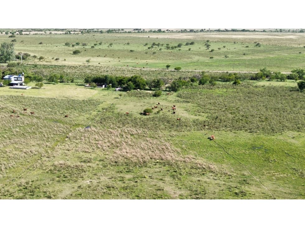 Vendo Campo 20 Has en Ruta 39 Concepción del Uruguay Entre Ríos - 1