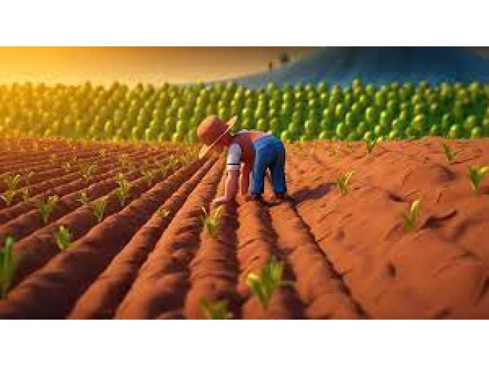 VENTA CAMPO AGRICOLA - LA PAZ, ENTRE RIOS - 1