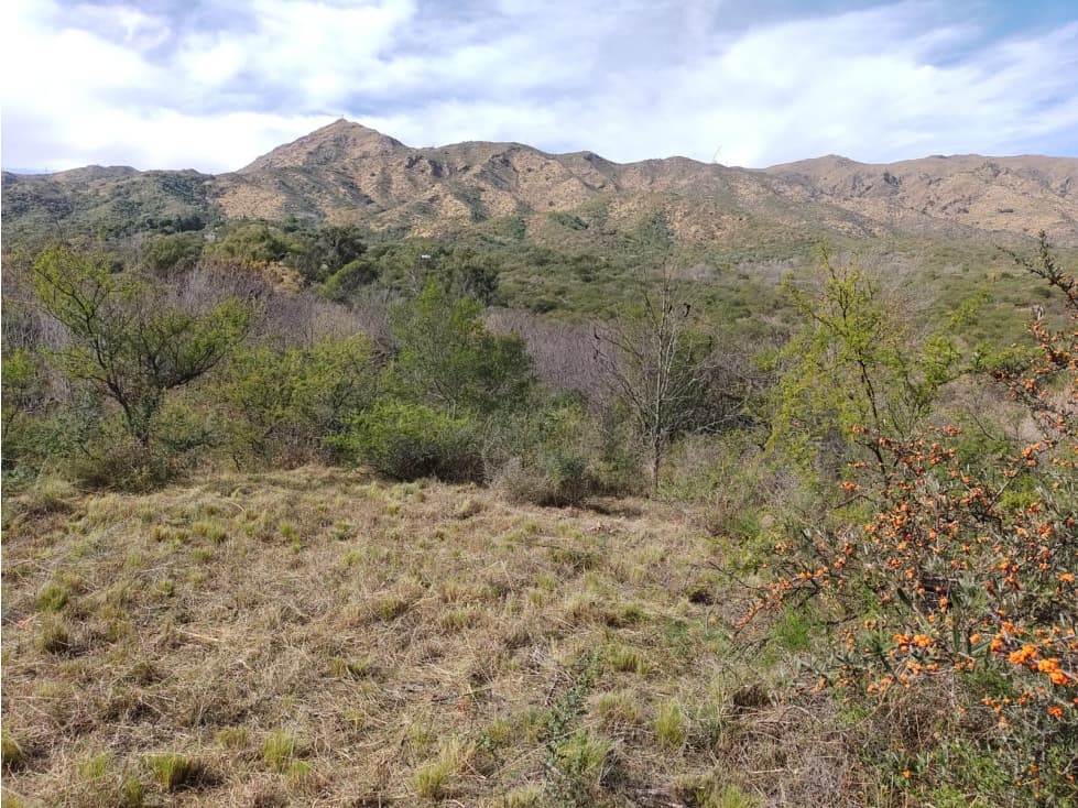 GRAN TERRENO EN EL PAN DE AZUCAR, COSQUIN - CORDOBA - 1