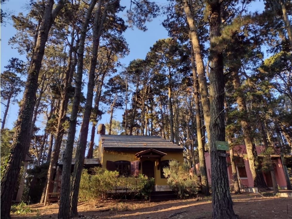 CASA EN PLENO BOSQUE DE VALERIA DEL MAR - 1